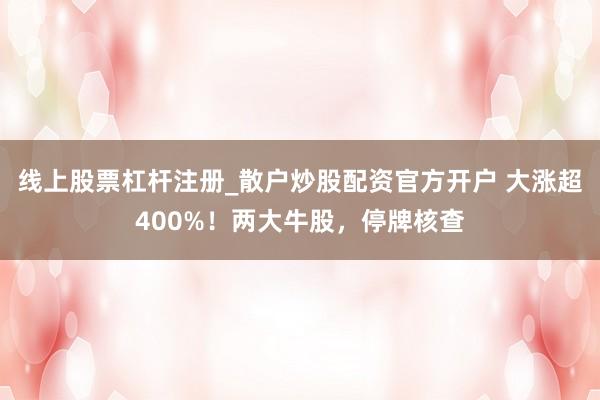 线上股票杠杆注册_散户炒股配资官方开户 大涨超400%！两大牛股，停牌核查