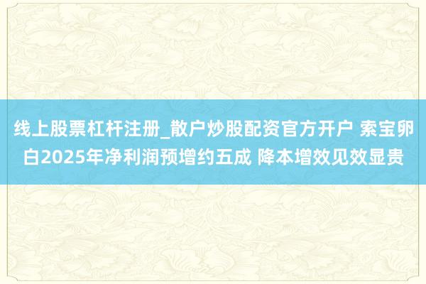 线上股票杠杆注册_散户炒股配资官方开户 索宝卵白2025年净利润预增约五成 降本增效见效显贵