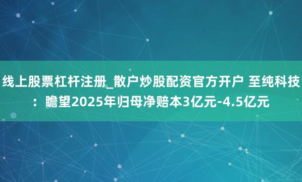 线上股票杠杆注册_散户炒股配资官方开户 至纯科技：瞻望2025年归母净赔本3亿元-4.5亿元