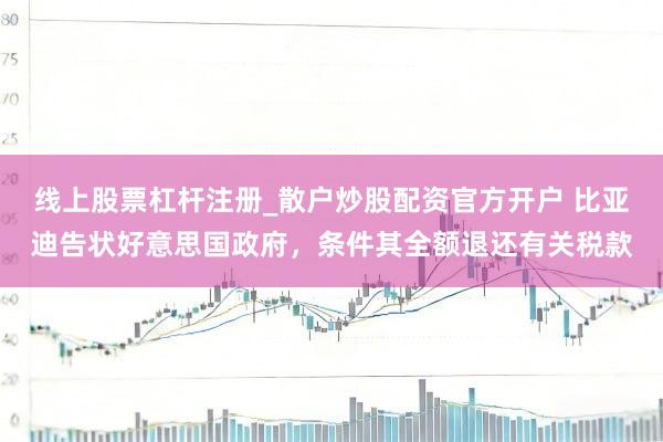 线上股票杠杆注册_散户炒股配资官方开户 比亚迪告状好意思国政府，条件其全额退还有关税款