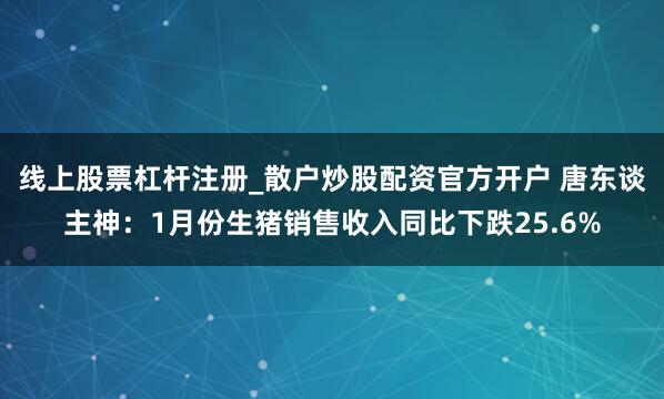 线上股票杠杆注册_散户炒股配资官方开户 唐东谈主神：1月份生猪销售收入同比下跌25.6%